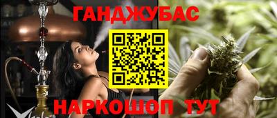 мяу мяу мука Кандалакша